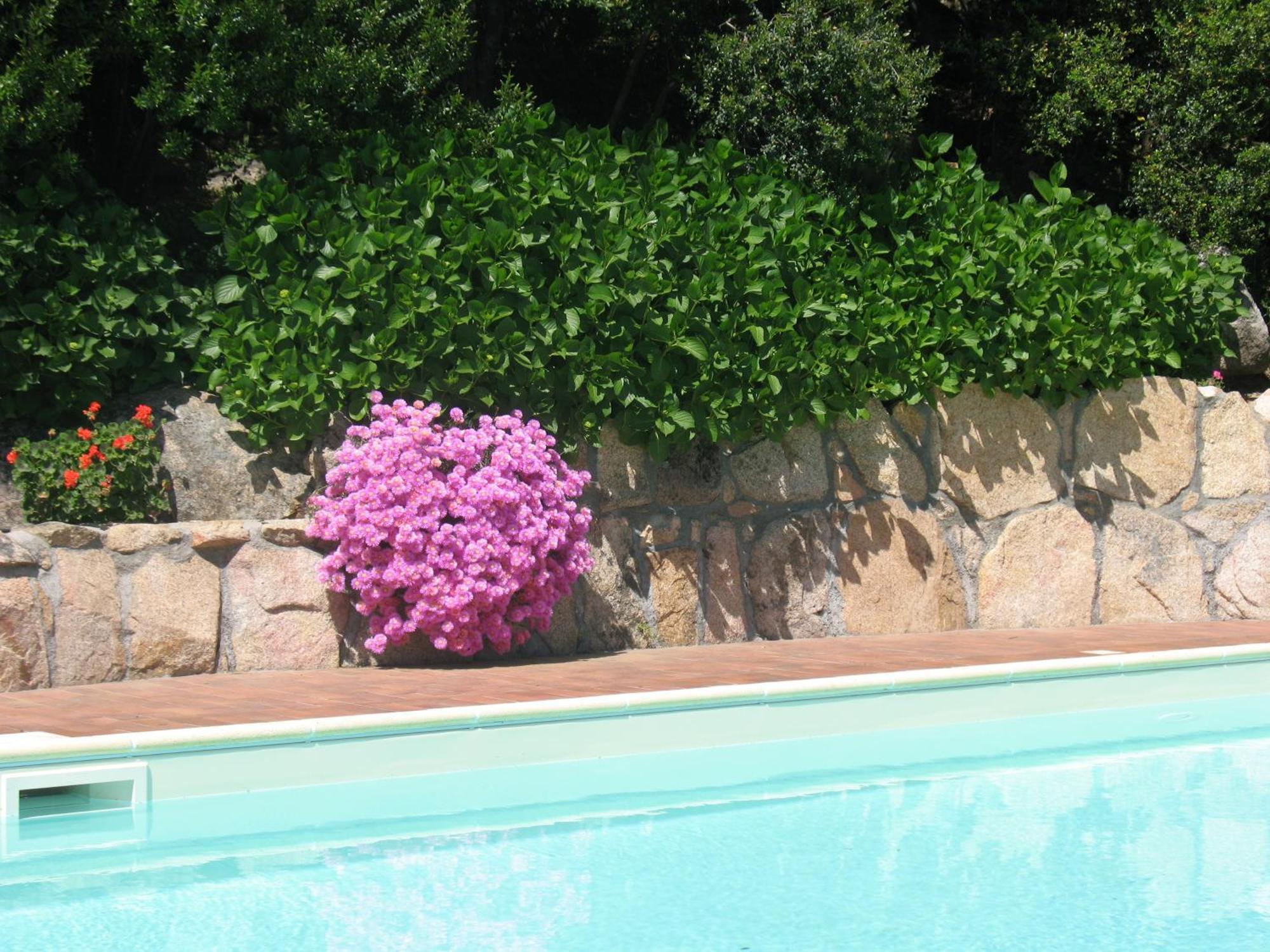 Hotel San Trano Luogosanto Dış mekan fotoğraf